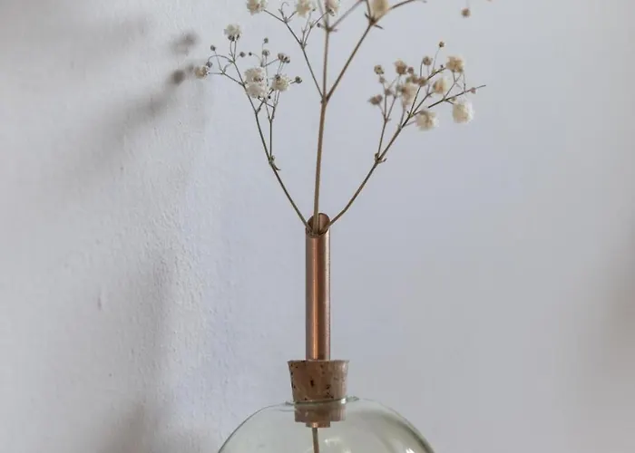 Palm Tree Appartement *